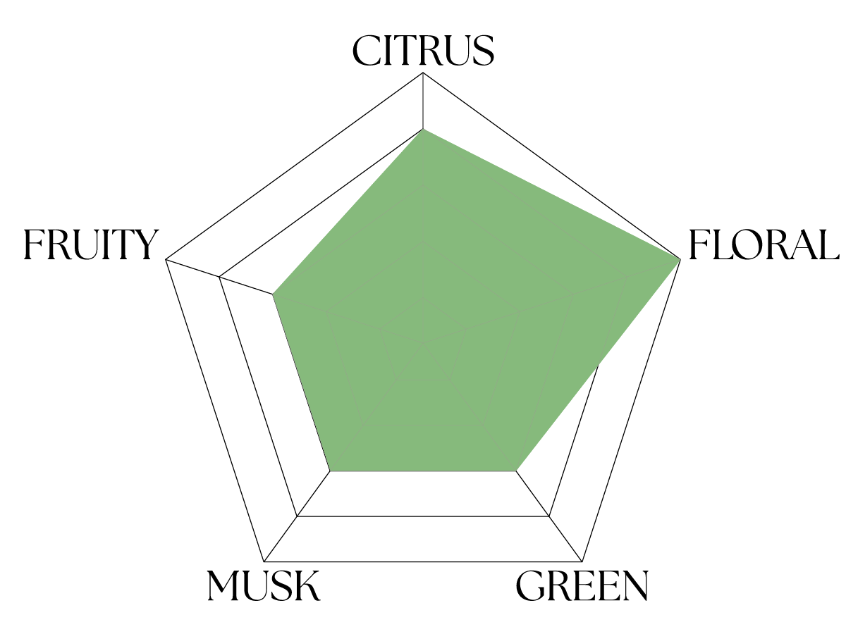 Bois de cassis